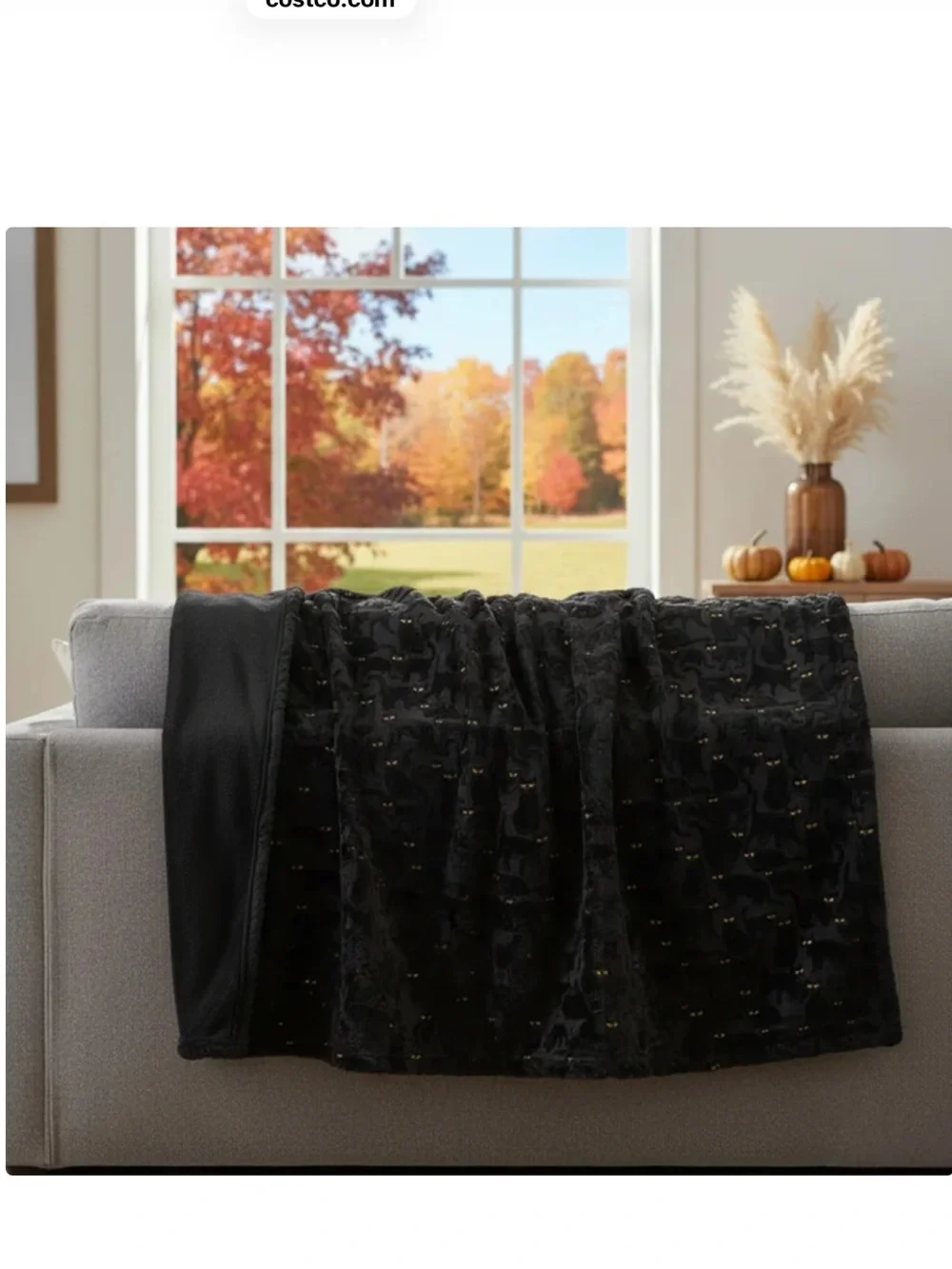 Embroidered Faux Fur Black Cats Halloween Throws Viral on Tik Tok - Costco